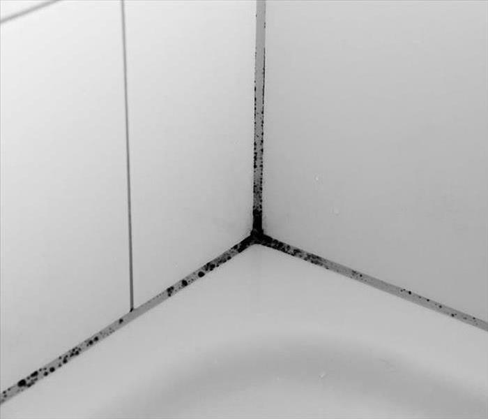 mold in the corner of a bath tub