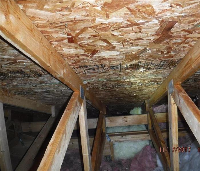 attic clean and clear of mold