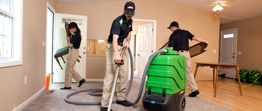 East Lansing, MI cleaning services